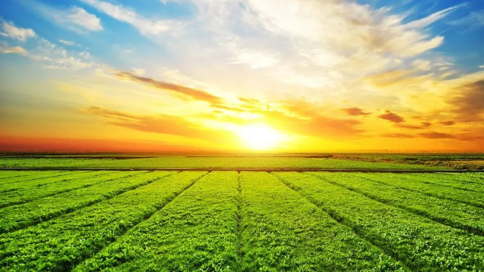 Energia Solar no Agronegócio