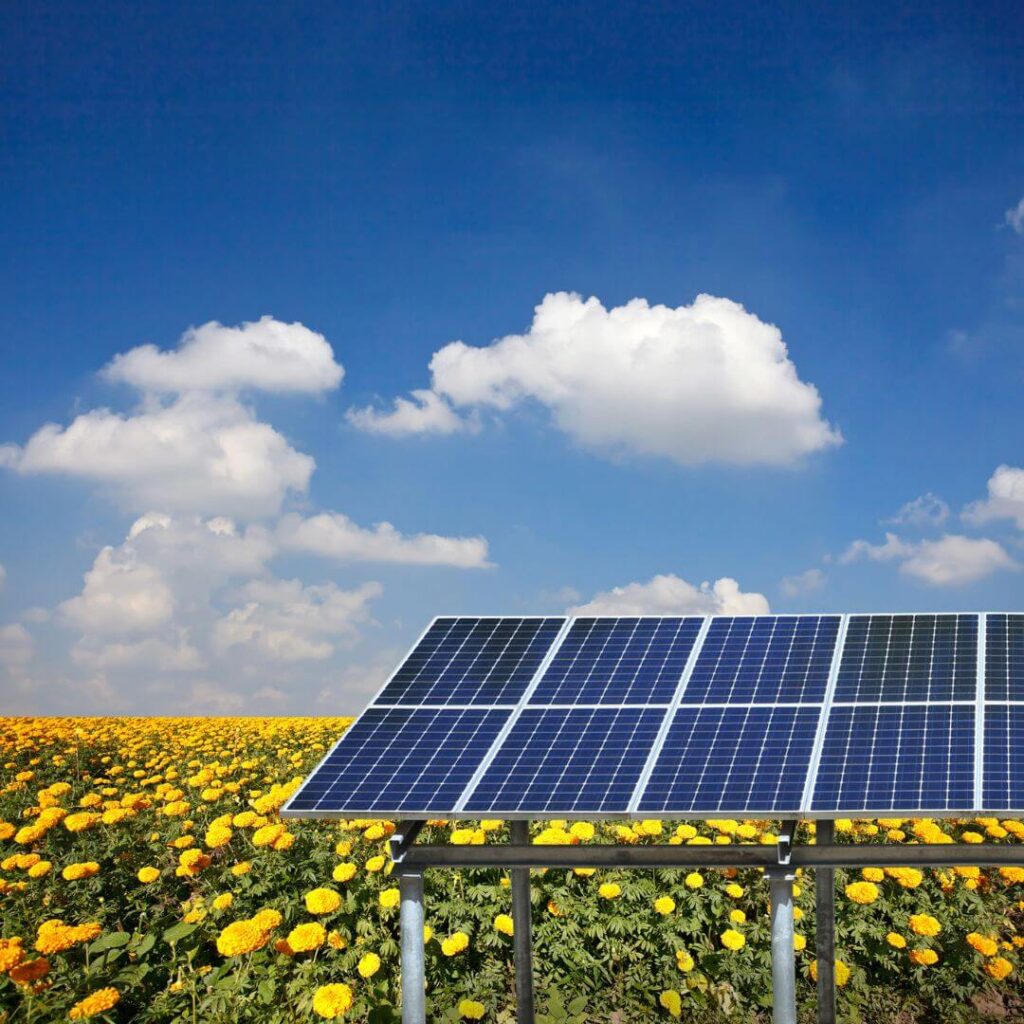 Tendências de energia solar em 2024 - Painéis Solares