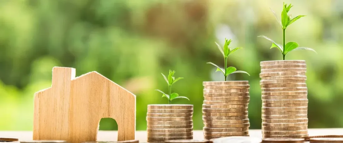 Calculadora solar para economia na conta de luz Casa, moedas e plantas representando economia com energia solar